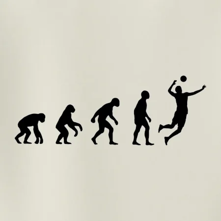 Evoluce volejbal smeč