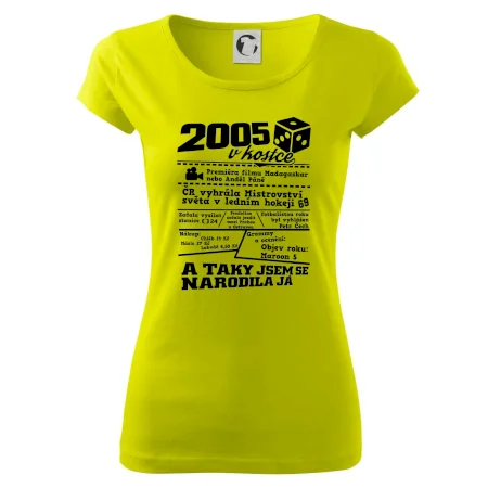 2005 v kostce