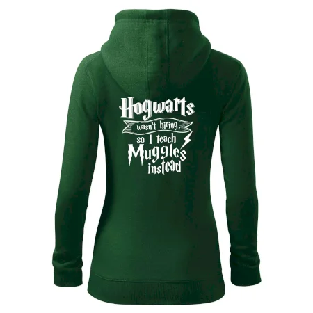 Harry - Hogwarts wasn’t hiring, so I teach Muggles instead