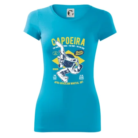 Capoeira  Afro-brazil art
