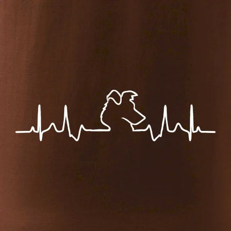 Border kolie EKG