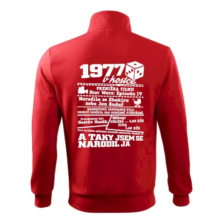 1977 v kostce