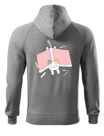 Učení na státnice kočka