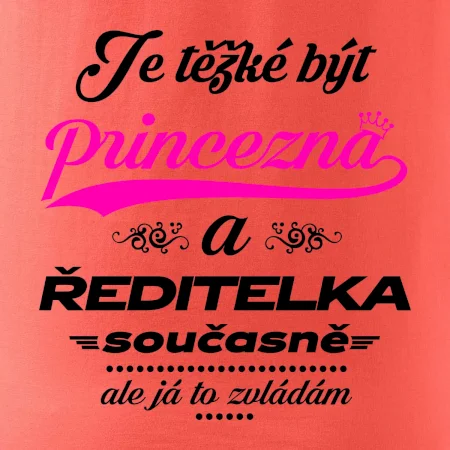 Je těžké být princezna - ředitelka