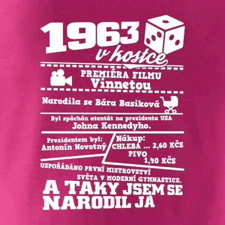1963 v kostce