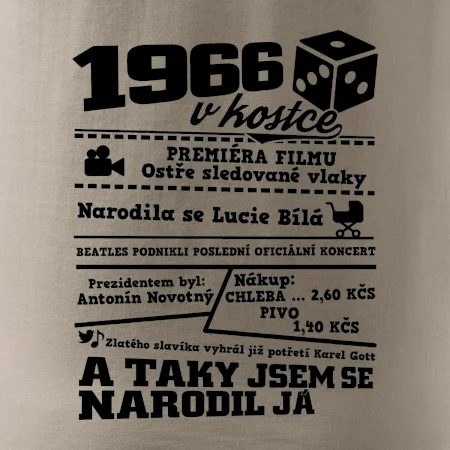 1966 v kostce