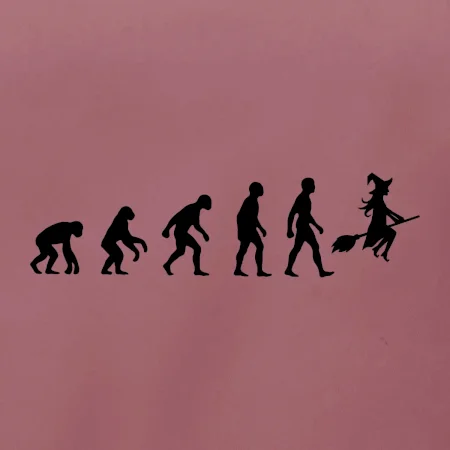 Evoluce čarodějnice