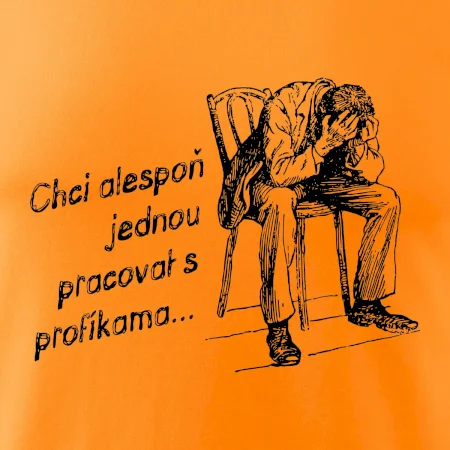 Chci alespoň jednou pracovat s profíkama