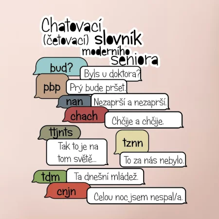 Chatovací slovník moderního seniora (Běžící češtinář)