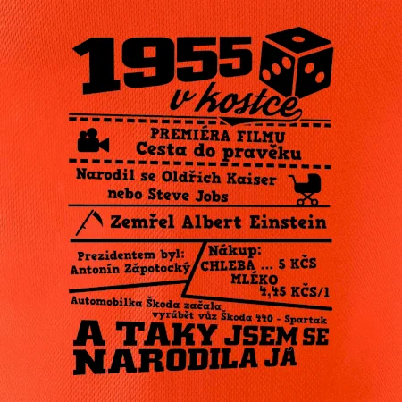 1955 v kostce