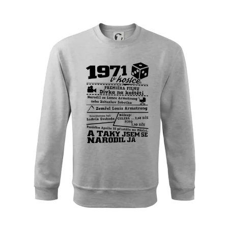 1971 v kostce