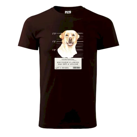 Lump a darebák labrador