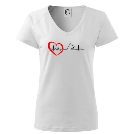 Německý ovčák ekg