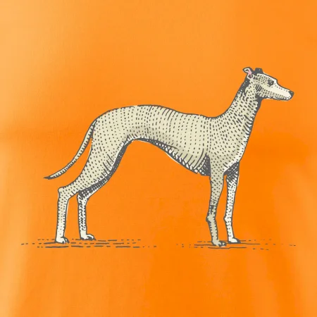 Vintage Whippet