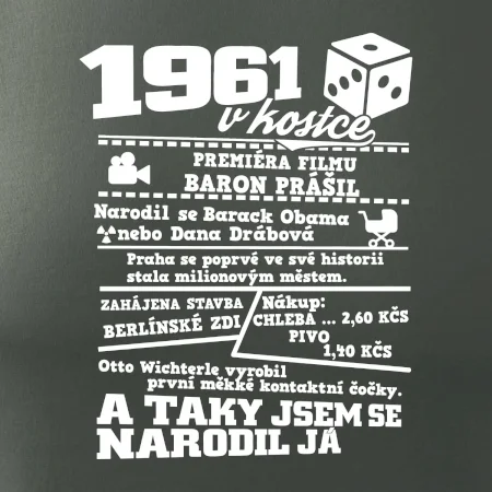 1961 v kostce