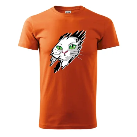 Kočka v roztrženém triku