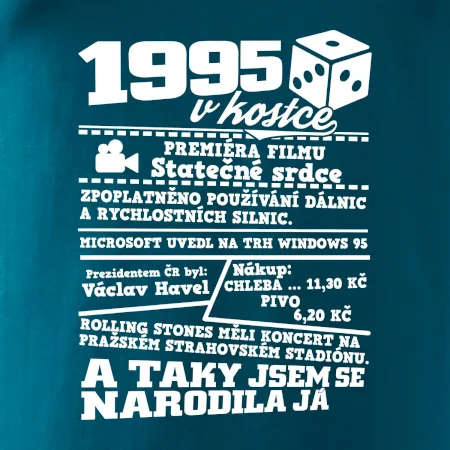 1995 v kostce