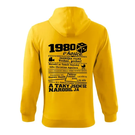 1980 v kostce