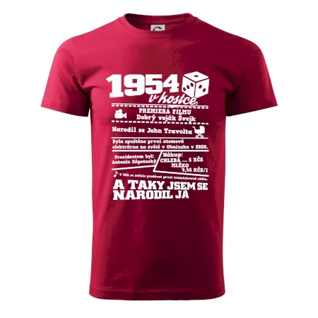 1954 v kostce