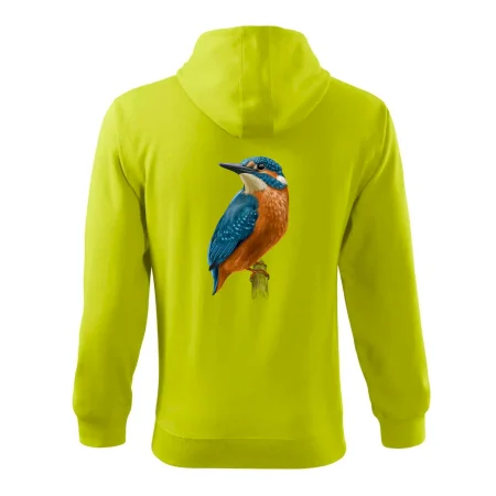 Lednáček kreslený