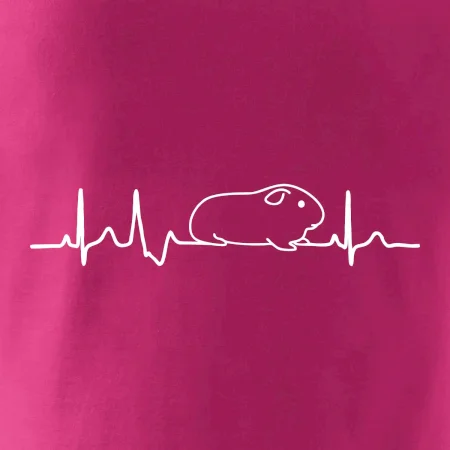 EKG morče