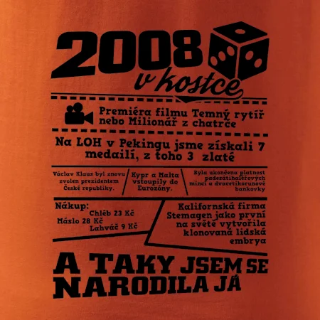 2008 v kostce