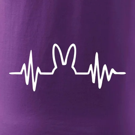 EKG zajíc