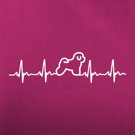 Bišonek ekg