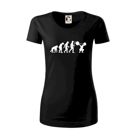 Evolution fitness