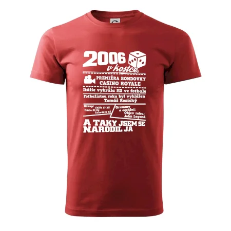 2006 v kostce