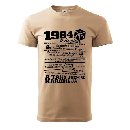 1964 v kostce