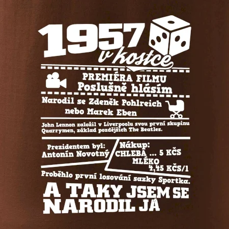 1957 v kostce