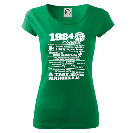1984 v kostce