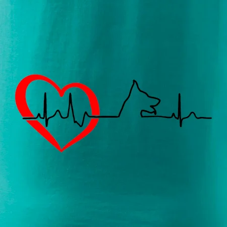 Německý ovčák ekg
