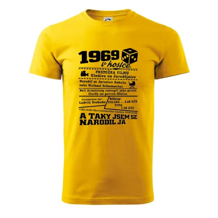 1969 v kostce