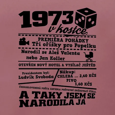 1973 v kostce