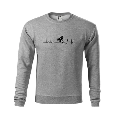 Jack Russell Terriér Ekg