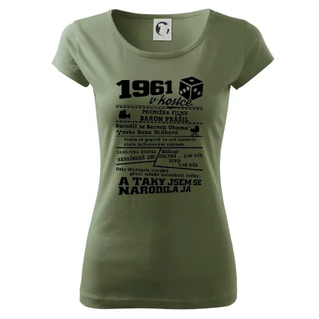 1961 v kostce
