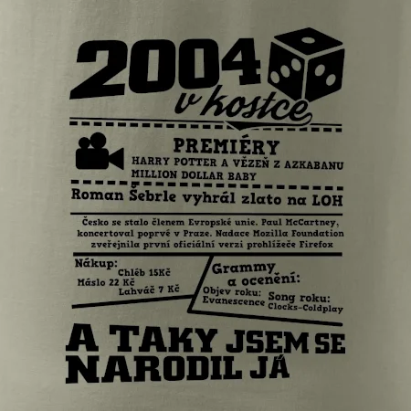 2004 v kostce