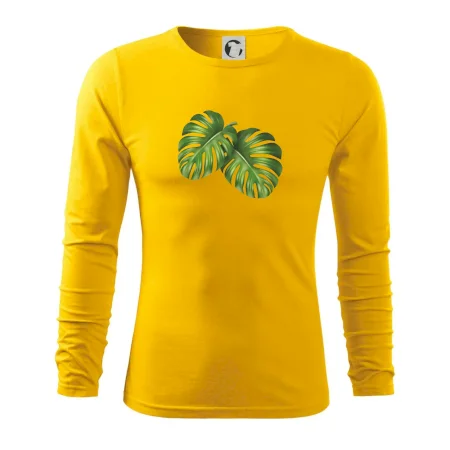 Monstera - dva listy
