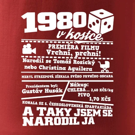 1980 v kostce