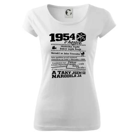 1954 v kostce