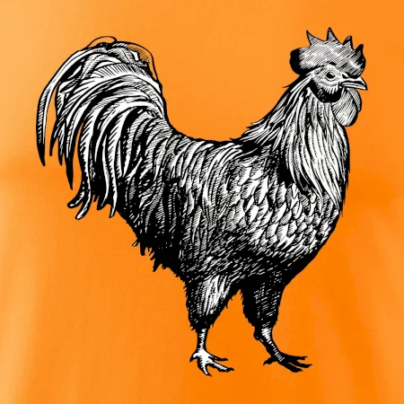Kohout kreslený černobílý