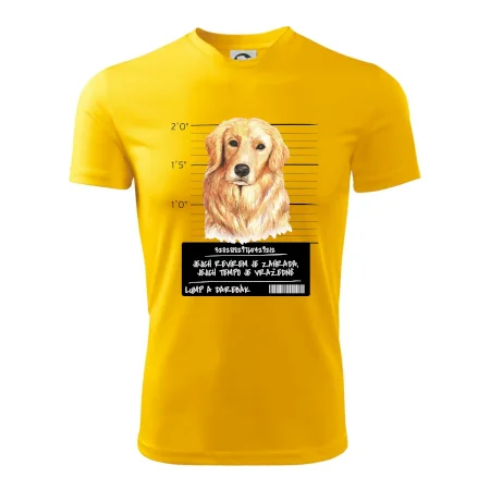 Lump a darebák zlatý retrívr
