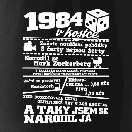 1984 v kostce
