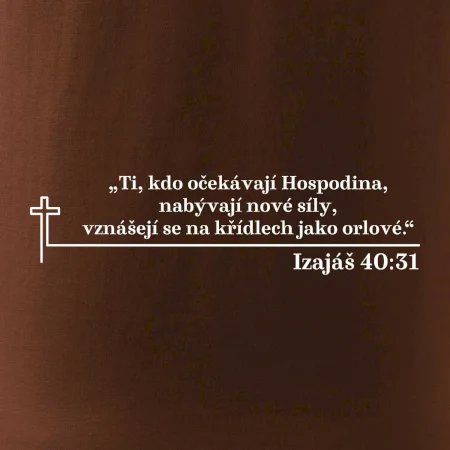 Citáty z bible - Izajáš 40:31