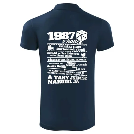 1987 v kostce