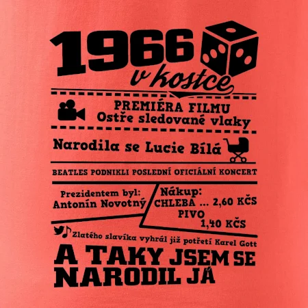 1966 v kostce