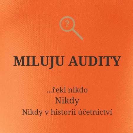 Miluju audity řekl nikdo nikdy