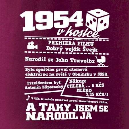 1954 v kostce